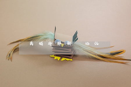 离婚冷静期 协议 离婚冷静期 协议